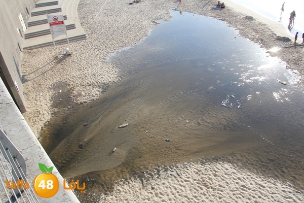 nakhom goldman majary (8).JPG